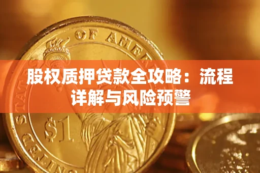武汉股权质押贷款全攻略：流程详解与风险预警