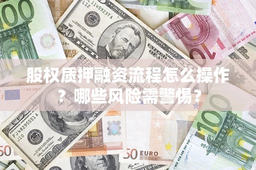 武汉股权质押融资流程怎么操作？哪些风险需警惕？