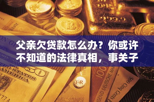 武汉父亲欠贷款怎么办？你或许不知道的法律真相，事关子女未来