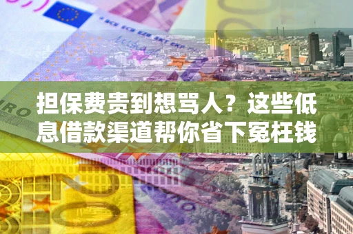 武汉担保费贵到想骂人？这些低息借款渠道帮你省下冤枉钱