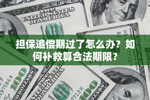 武汉担保追偿期过了怎么办？如何补救算合法期限？