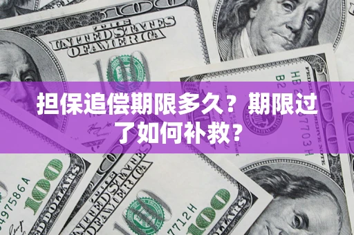 武汉担保追偿期限多久？期限过了如何补救？