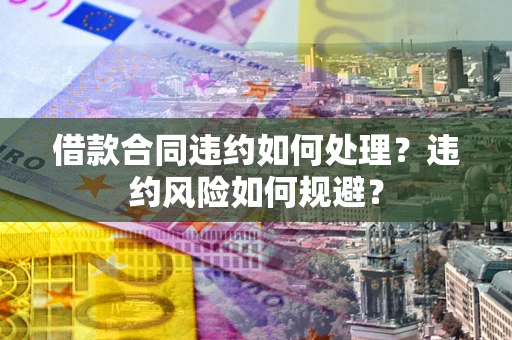 武汉借款合同违约如何处理？违约风险如何规避？