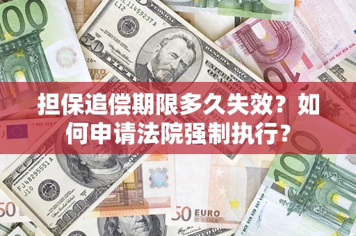 武汉担保追偿期限多久失效？如何申请法院强制执行？