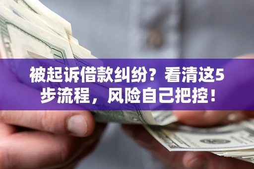 武汉被起诉借款纠纷？看清这5步流程，风险自己把控！