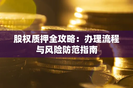 武汉股权质押全攻略：办理流程与风险防范指南