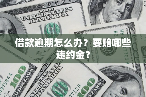 武汉借款逾期怎么办？要赔哪些违约金？