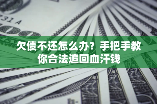 武汉欠债不还怎么办?手把手教你合法追回血汗钱 武汉欠债不还怎么办?手把手教你合法追回血汗钱