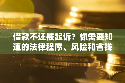武汉借款不还被起诉？你需要知道的法律程序、风险和省钱技巧